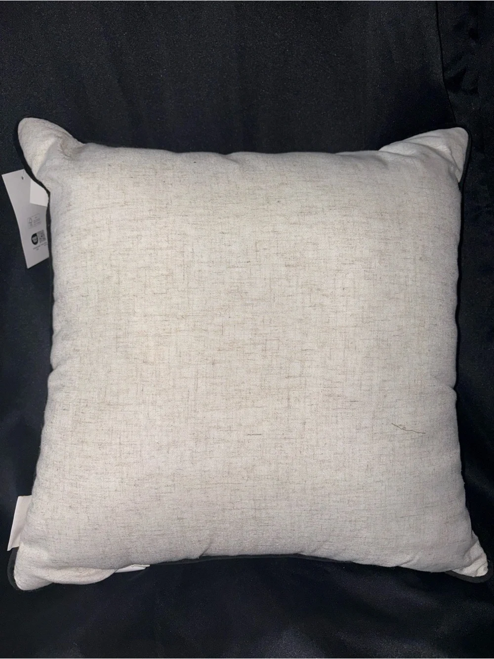 Isaac Mizrahi Halloween Bride Of Frankenstein LGBTQ+ Couple Pillow NWT